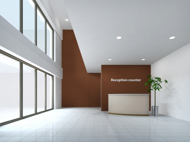 大きな観葉植物